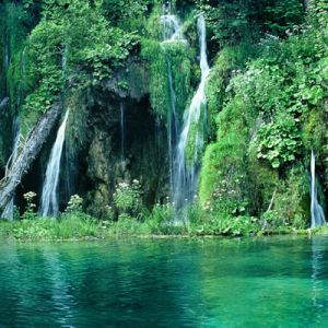 Chutes d'Eau Sereines et Végétation Luxuriante