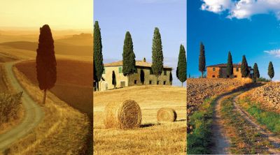 Paysage Toscan