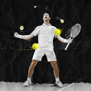 Novak Djokovic Champion de Tennis