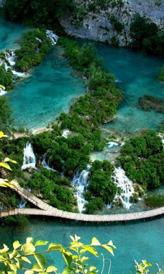 Chutes d'eau époustouflantes et verdure luxuriante