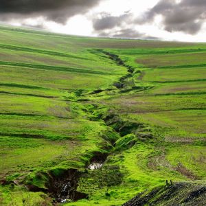 Paysage Vert