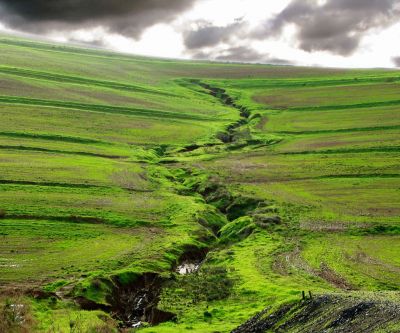 Paysage Vert