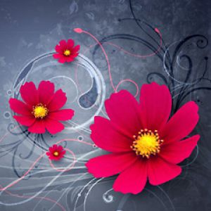 Fleurs Roses Vives