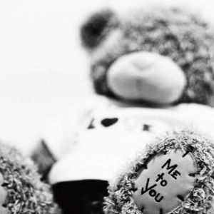 Ours en Peluche Amoureux
