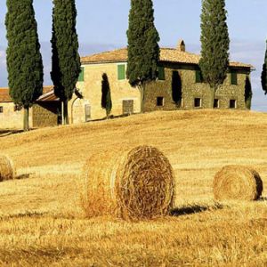 Paysage Toscan