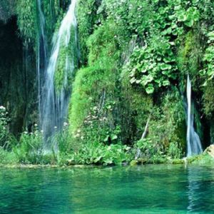 Cascade Sereine et Verdure
