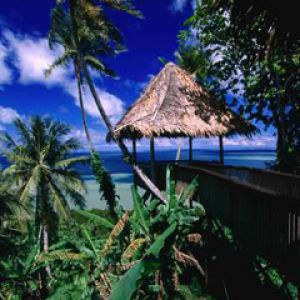 Paradis Tropical avec Palmiers