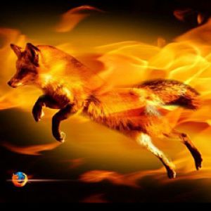 Renard Enflammé en Mouvement