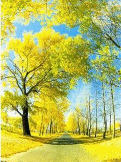 Arbres d'Automne et Ciel Bleu
