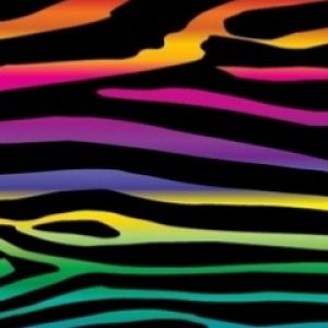 Motif de Rayures de Zèbre Colorées