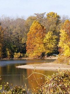 Lac d'Automne