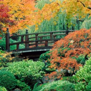 Pont du Jardin d'Automne