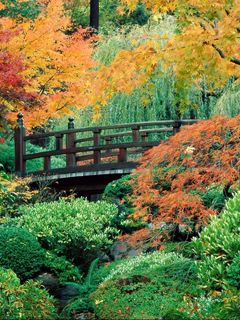 Pont du Jardin d'Automne