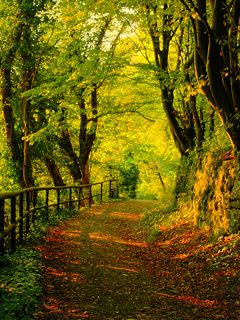 Sentier Forestier Serein