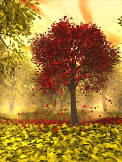 Paysage Forestier d'Automne