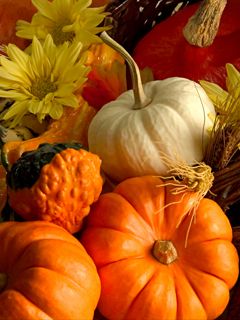 Citrouilles d'Automne Colorées