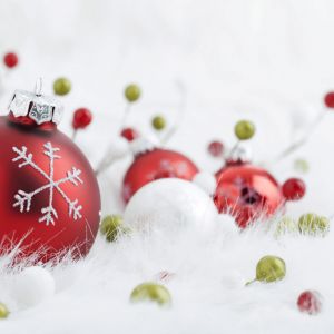 Ornements et Décorations de Noël