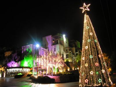 Arbre de Noël Lumières Nocturnes