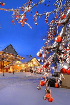 Merveille Hivernale avec Baies Rouges