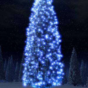 Sapin de Noël Bleu Lumineux