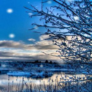 Paysage d'Hiver