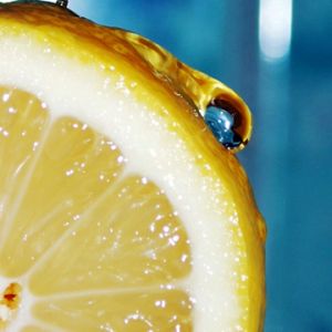 Tranche de Citron Frais