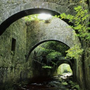 Arc Mystérieux dans la Nature