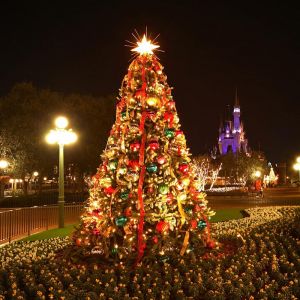 Arbre de Noël la Nuit