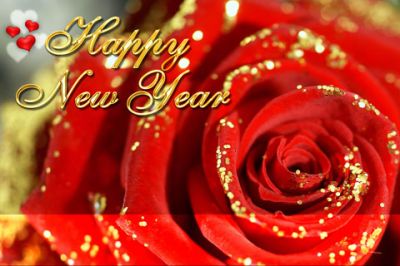 Rose Bonne Année