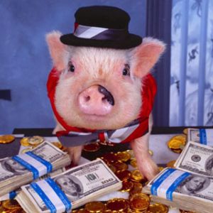 Cochon Drôle avec de l'Argent