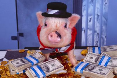 Cochon Drôle avec de l'Argent