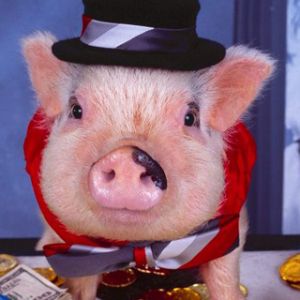 Cochon Amusant en Haut-de-forme
