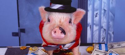 Cochon Amusant en Haut-de-forme