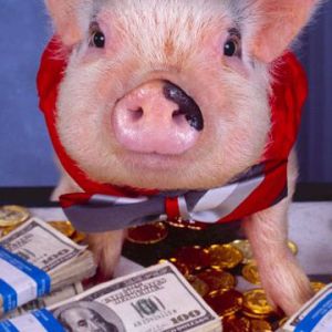 Cochon Élégant avec de l'Argent
