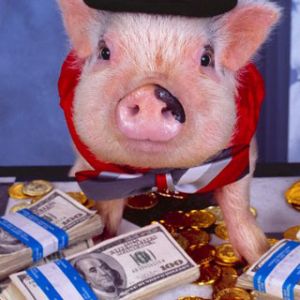 Cochon avec de l'Argent