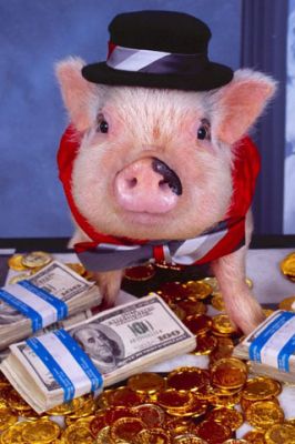 Cochon avec de l'Argent