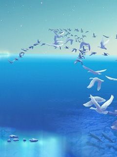 Océan Serein avec Oiseaux en Vol