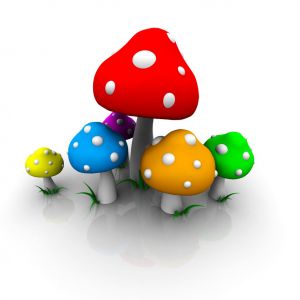 Champignons Colorés en Dessin Animé