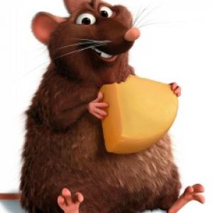 Rat Mignon avec du Fromage