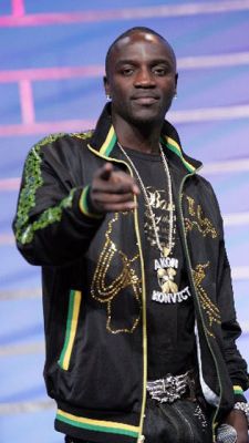 Artiste Musical Akon