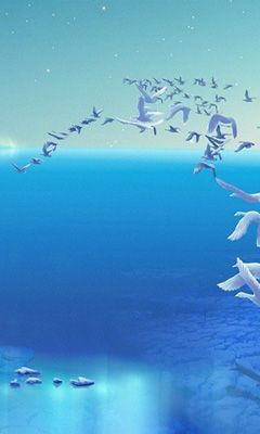 Océan Serein et Oiseaux