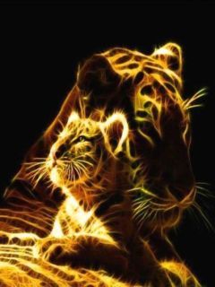 Tigre et petit lumineux