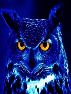 Hibou Bleu Électrique