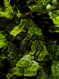 Motifs d'Eau Abstraits Verts
