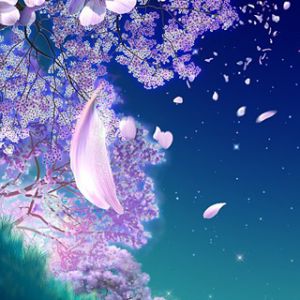 Belles Fleurs Violettes