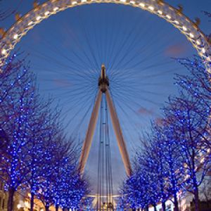London Eye de Nuit