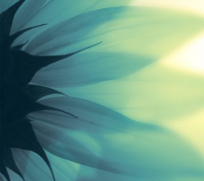 Abstrait Floral Doux