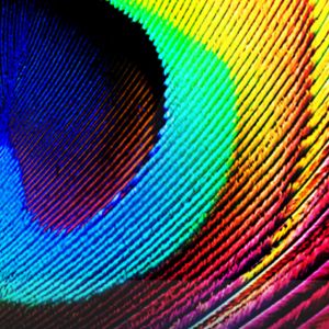 Motifs Arc-en-Ciel Vibrants
