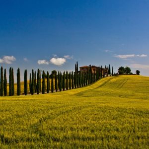 Paysage Toscan