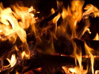 Flammes et Bûches